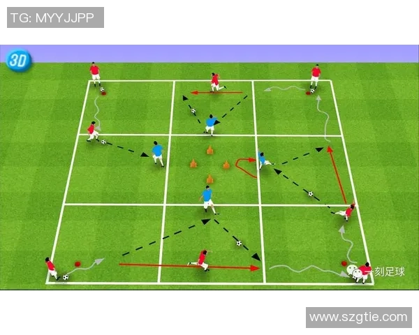 花样式足球的魅力探秘与技术解析让你领略不一样的足球世界